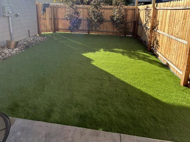 backyard with brand new turf